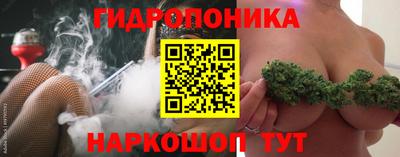 ешки Сосновый Бор
