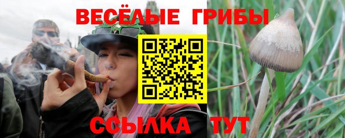 закладки  Вход с VPN  Карталы  Псилоцибиновые грибы GOLDEN TEACHER  Галлюциногенные грибы Cubensis 